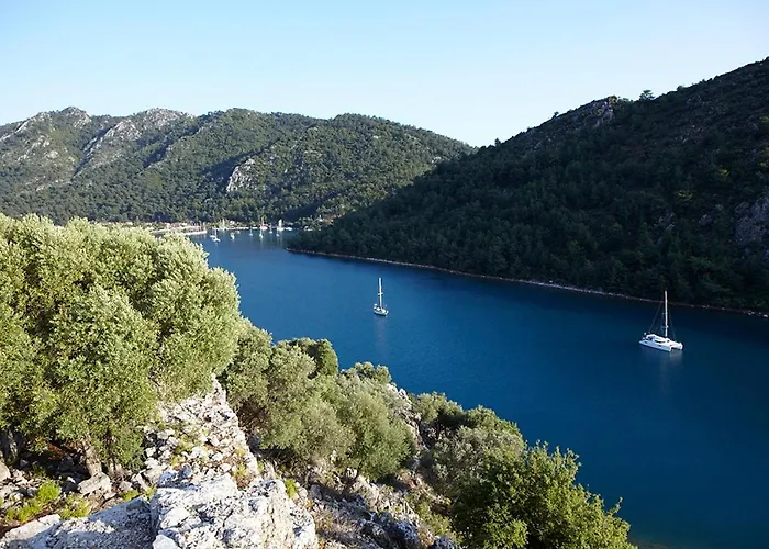 Marti Hemithea Орхание