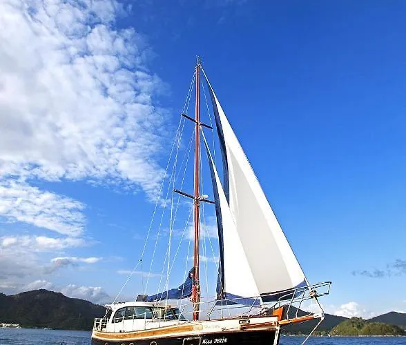 Marti Hemithea * Орхание