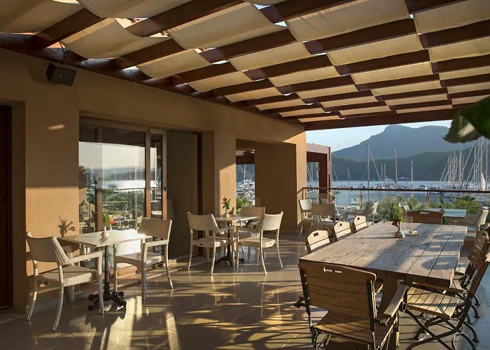 Marti Hemithea * Орхание